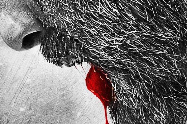 BHOOMI teaser poster