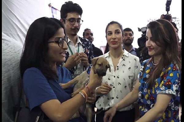 Animal adoption gains ground in India