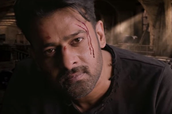 SAAHO poster