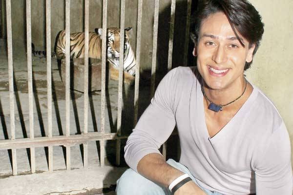Tiger in Ghai`s next?
